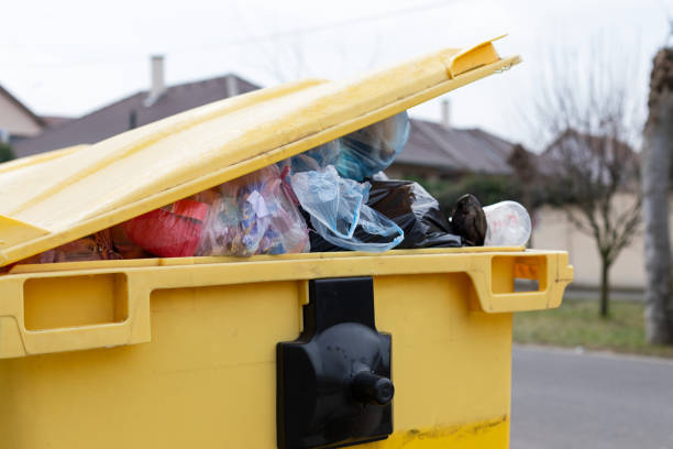 Best Recycling Services for Junk  in Enochville, NC